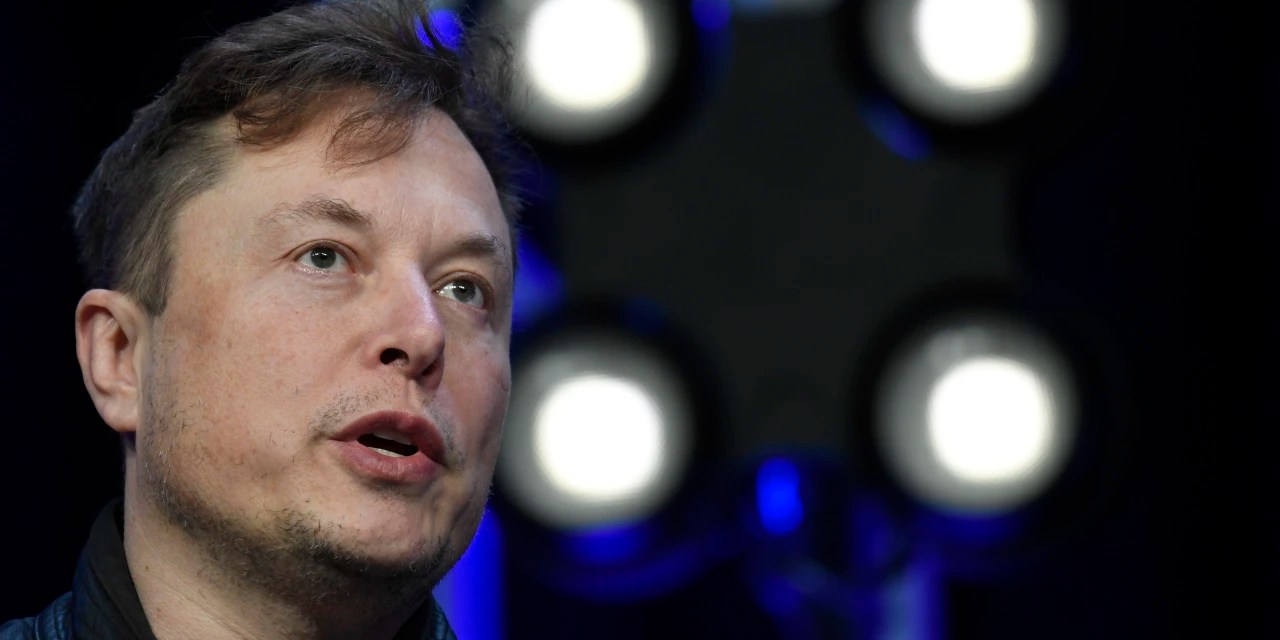Elon Musk Puts His Twitter Deal on Hold DayBreakWeekly UK