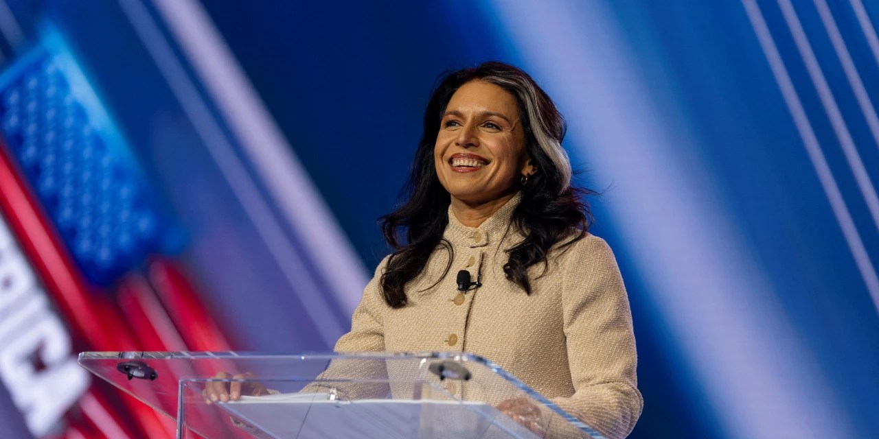 Exclusive Spy Agency Blocks Congress From Seeing Gabbard