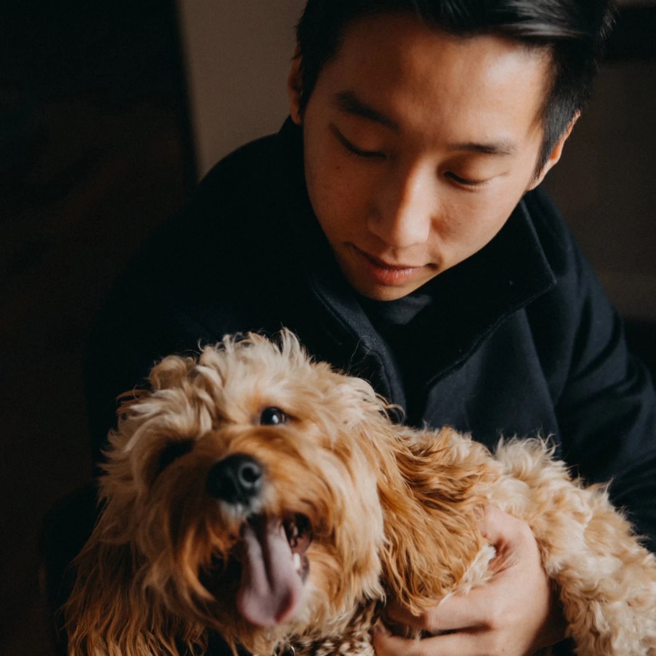 Do Dogs Actually Help With Anxiety