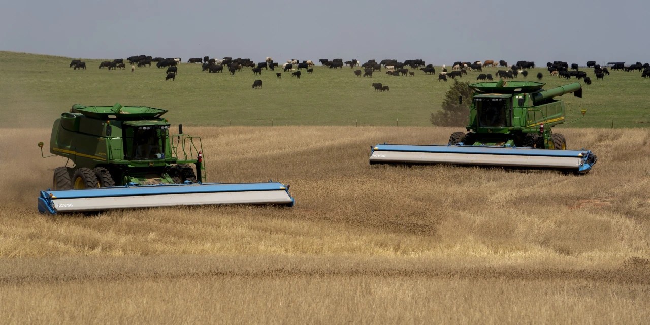 Fertilizer Stocks Are Coming Back to Earth, Dragged Down by Falling