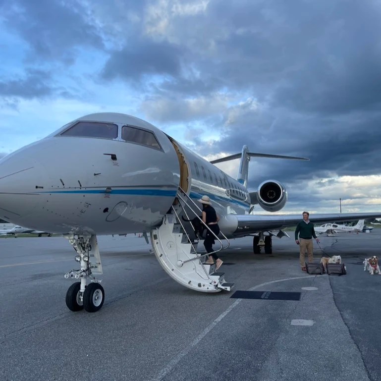 Having Trouble Flying With Your Dog? Charter a Private Jet for Princess