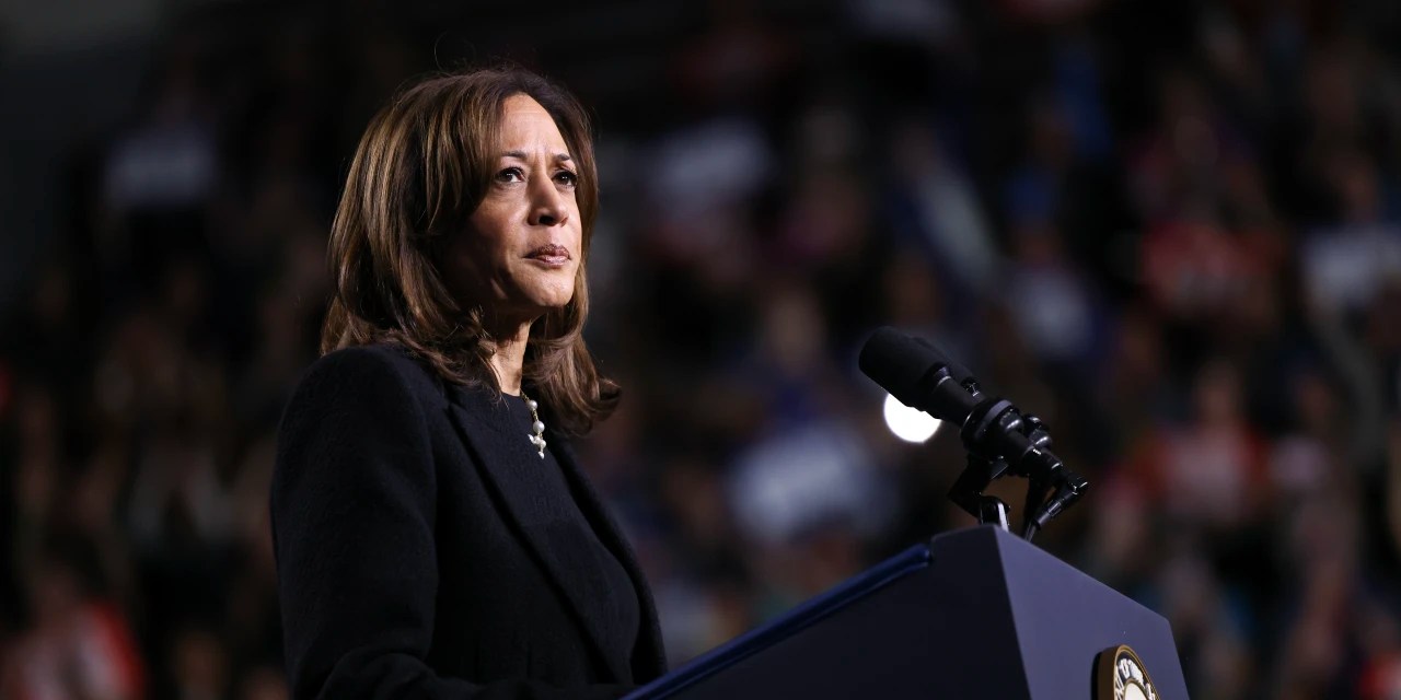 What We Learned From Kamala Harris’s Campaign Book WSJ