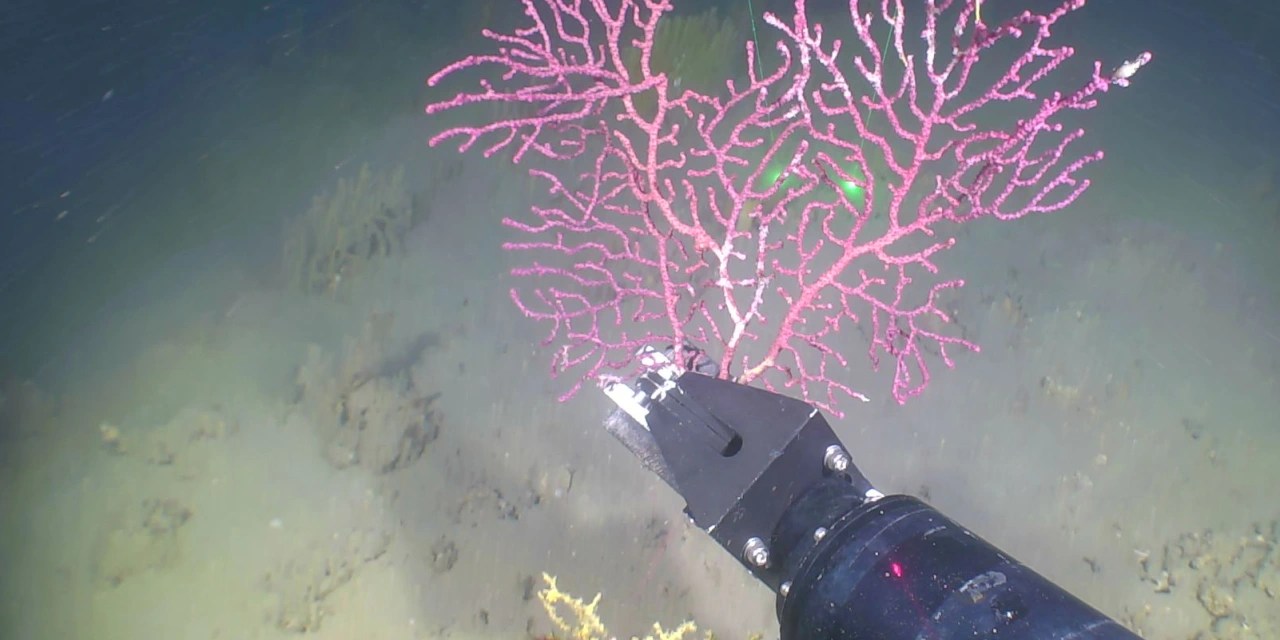 Finding New Drugs From the Deep Sea via ‘eDNA’ WSJ