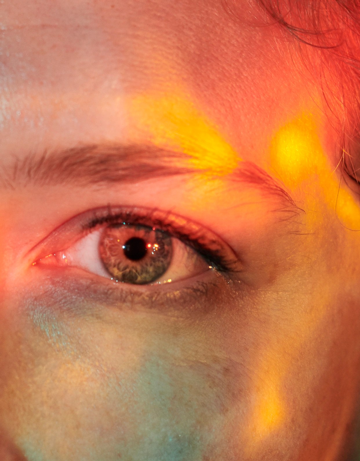 A Spark of Life After Death Points to New Hope for Blindness WSJ