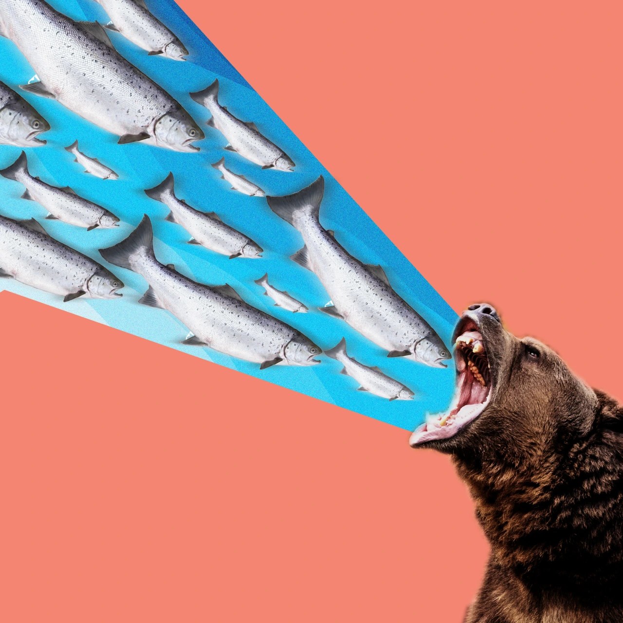 Broad Declines Drag Bonds Into Rare Bear Market WSJ