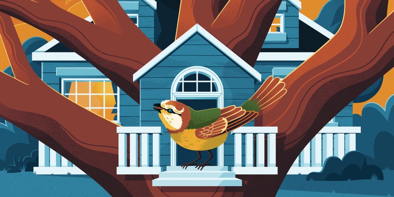 The Birdhouse Designs That Are Best for Birds WSJ