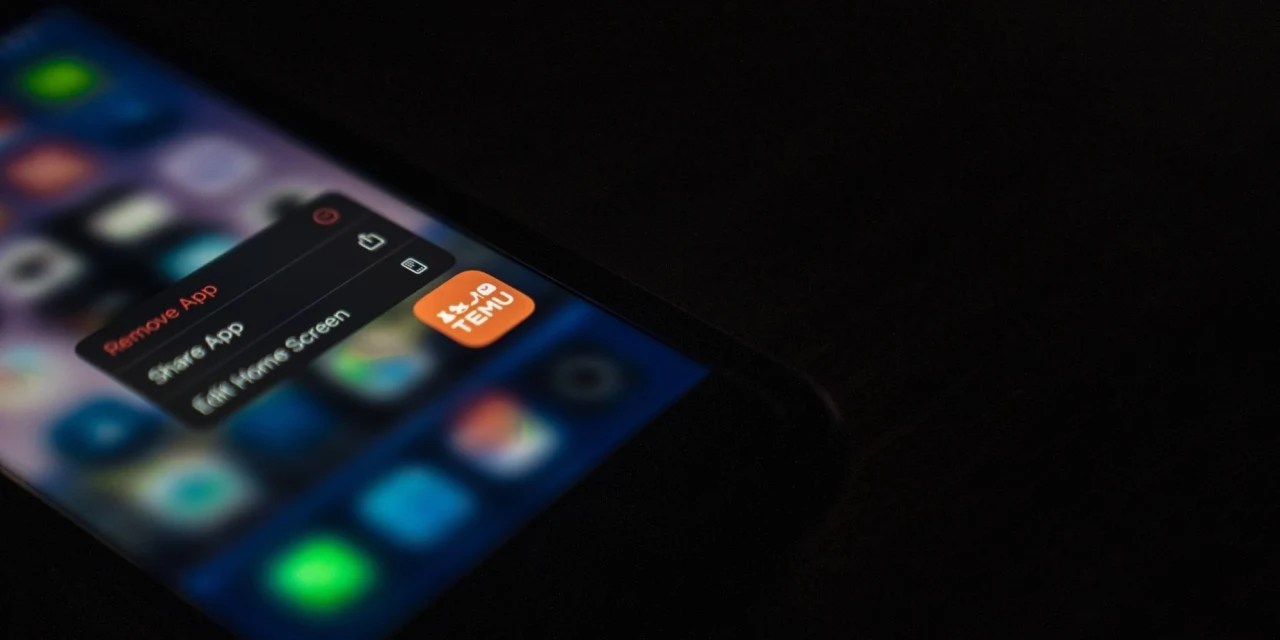 American Bargain Hunters Flock to a New Online Platform in China