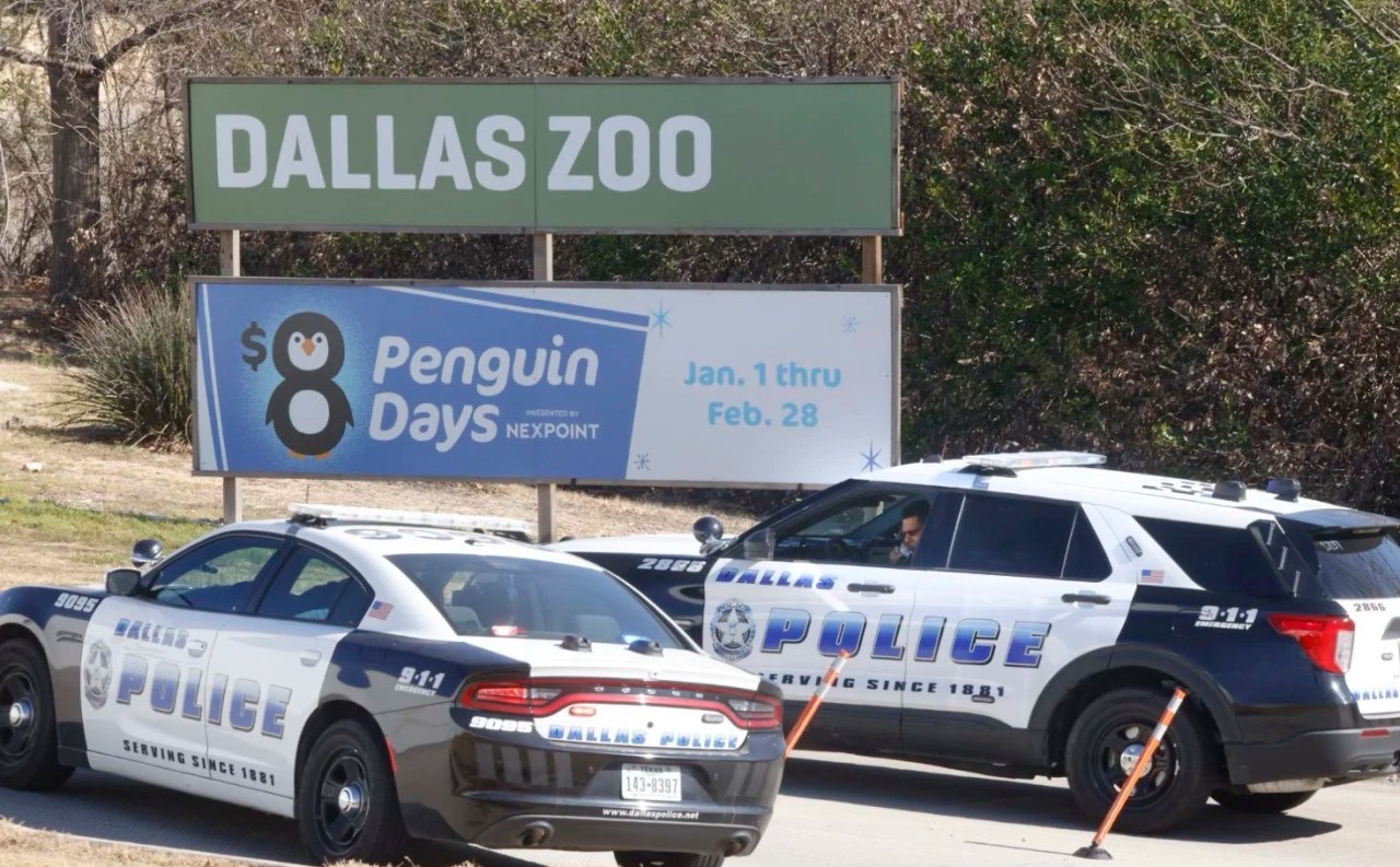 Photos The Monkeys, Dead Vulture and Clouded Leopard Behind the(09)