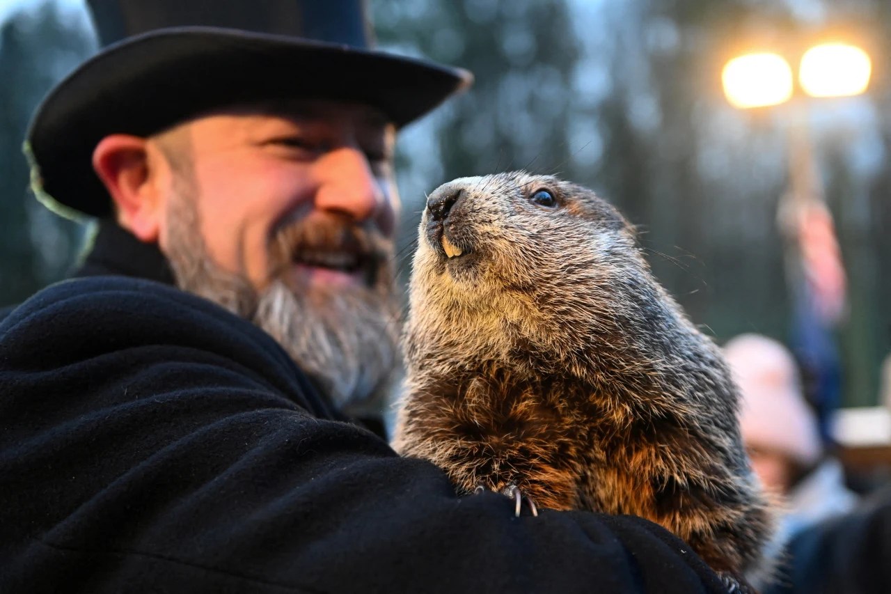 288 Adorable Groundhog Names for the Ultimate Burrower! Animal Hype
