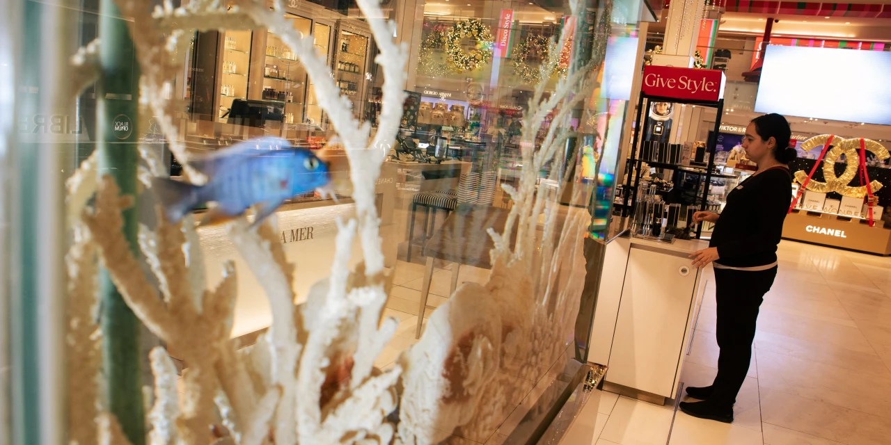 Macy’s, Best Buy Sales Decline, Reflecting Shopper Pullback WSJ