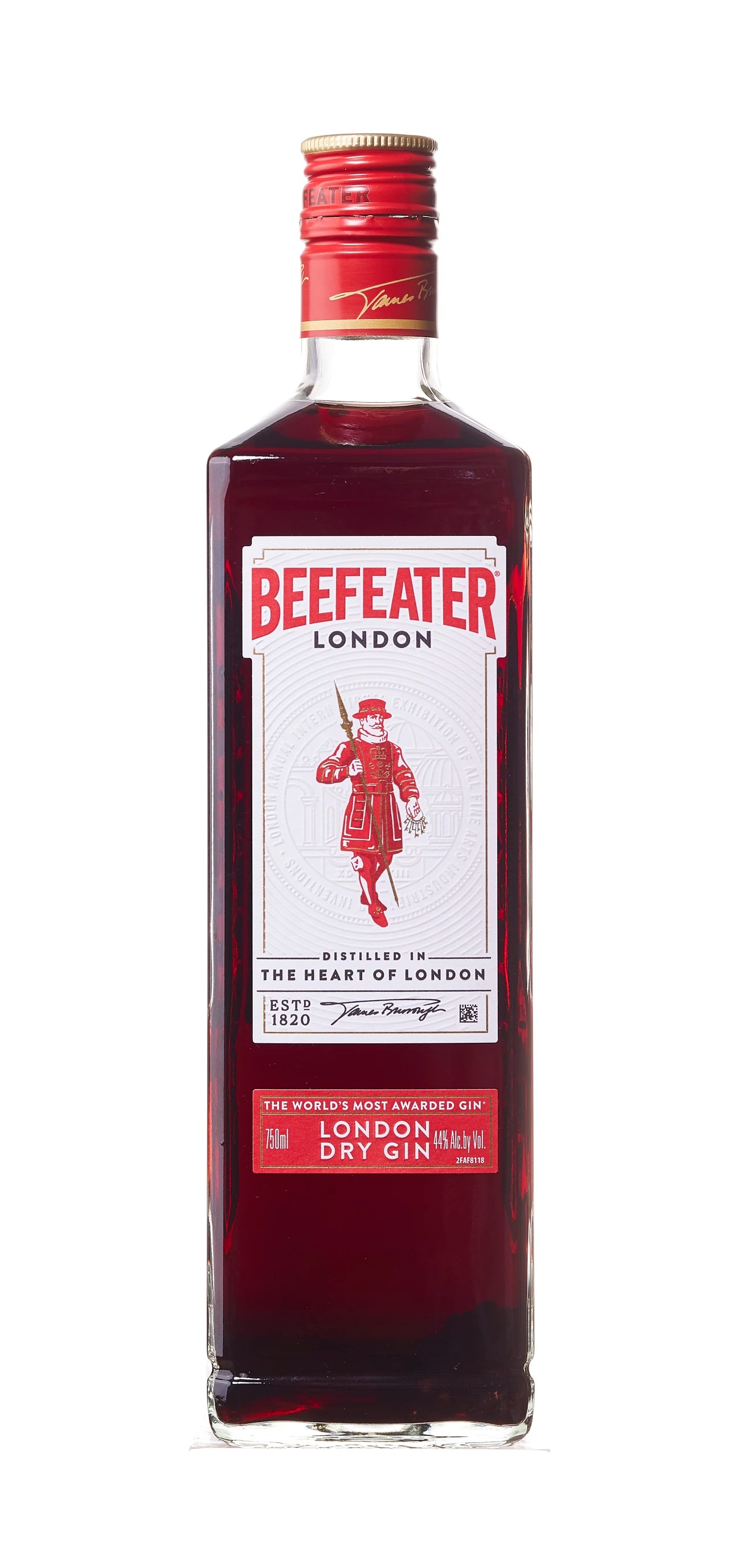 ElderberryInfused Gin WSJ Recipes