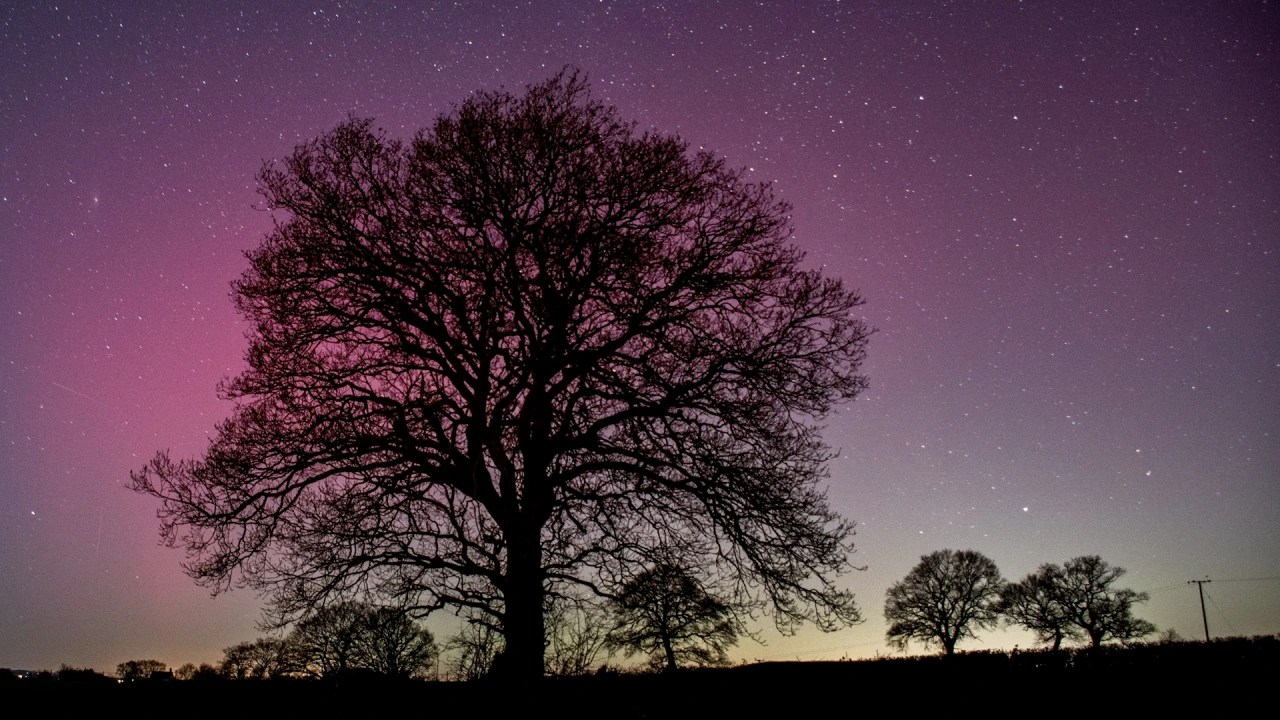 Watch Northern Lights Captured in Skies Above Alaska, England