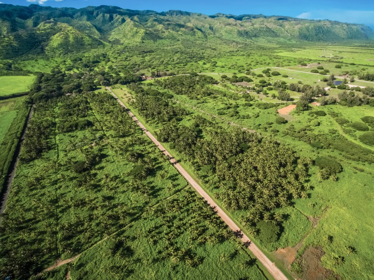 Oceanfront Ranch Where ‘Lost’ and ‘Hawaii FiveO’ Have Filmed Sells for