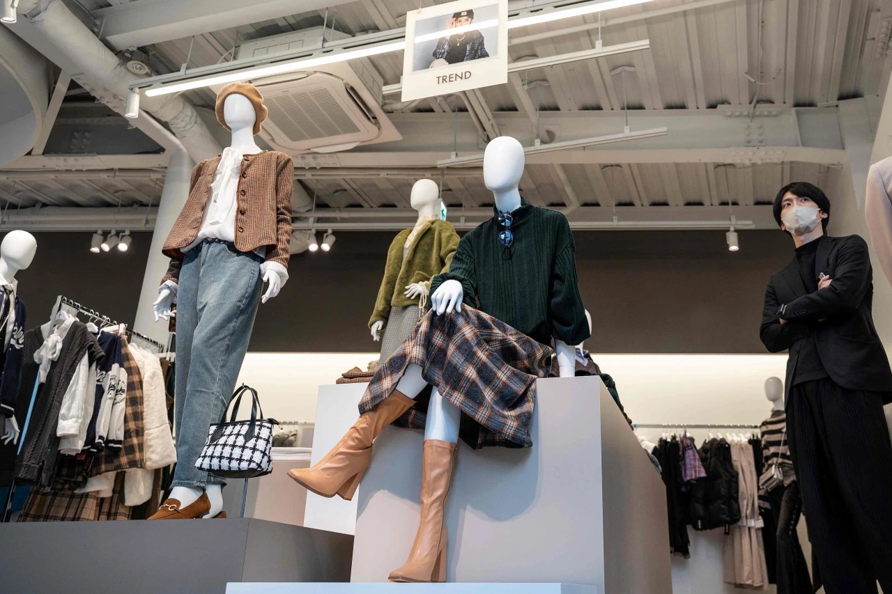 Mannequin Prices In South Africa wordpress3315611541677