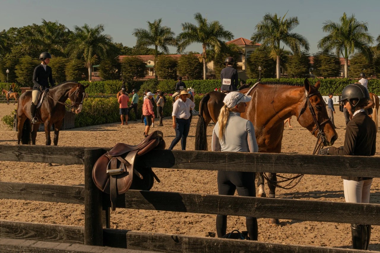 Two Florida Towns Vie to Be Center of the Equestrian World WSJ