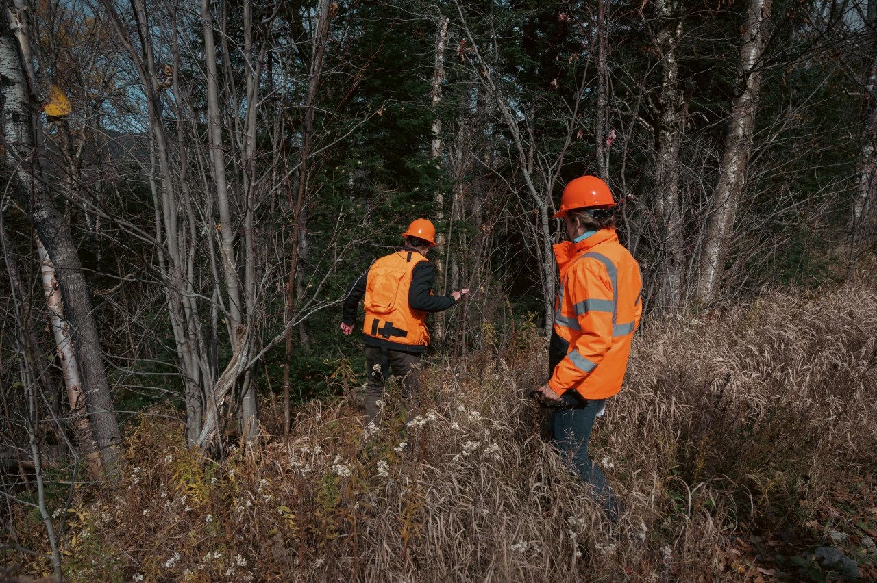 America's Biggest Landowner Greenlighted to Sell Forest Carbon Offsets