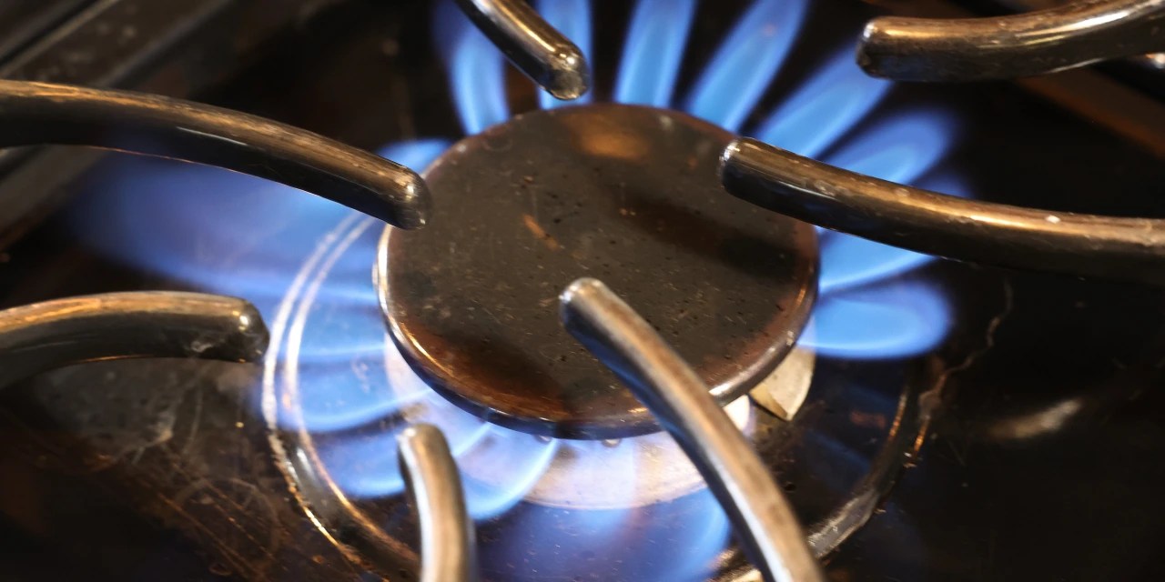 Gas Stoves Triumph Over Berkeley WSJ