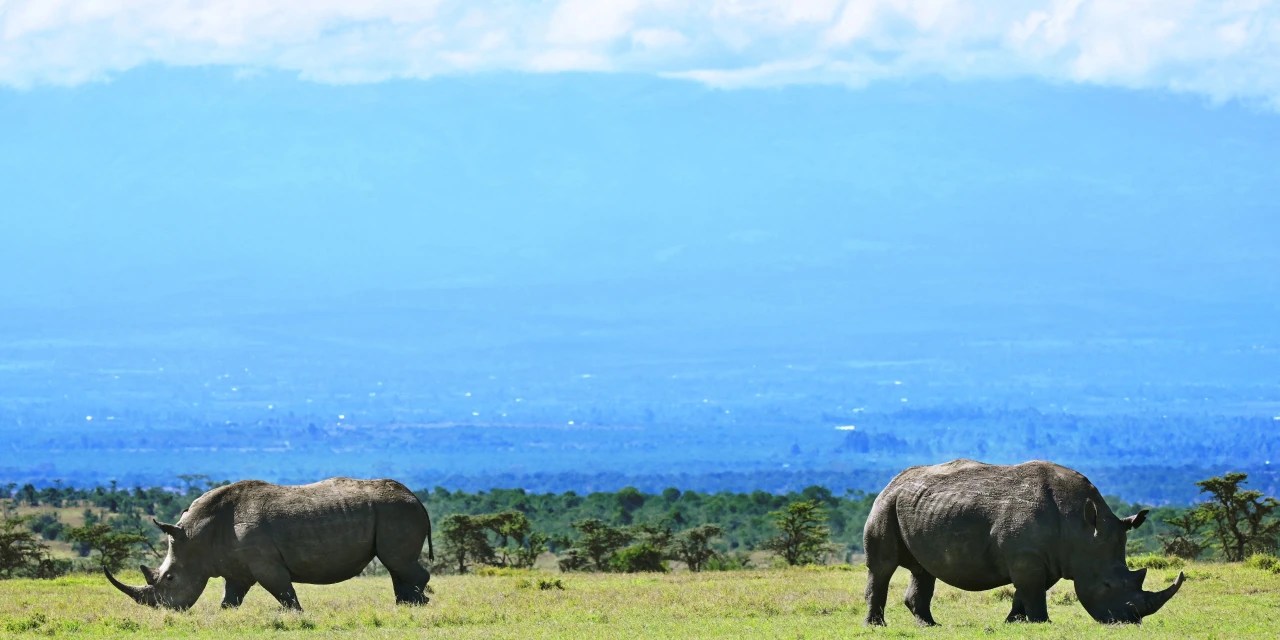 Five Best Books on the Great Outdoors WSJ