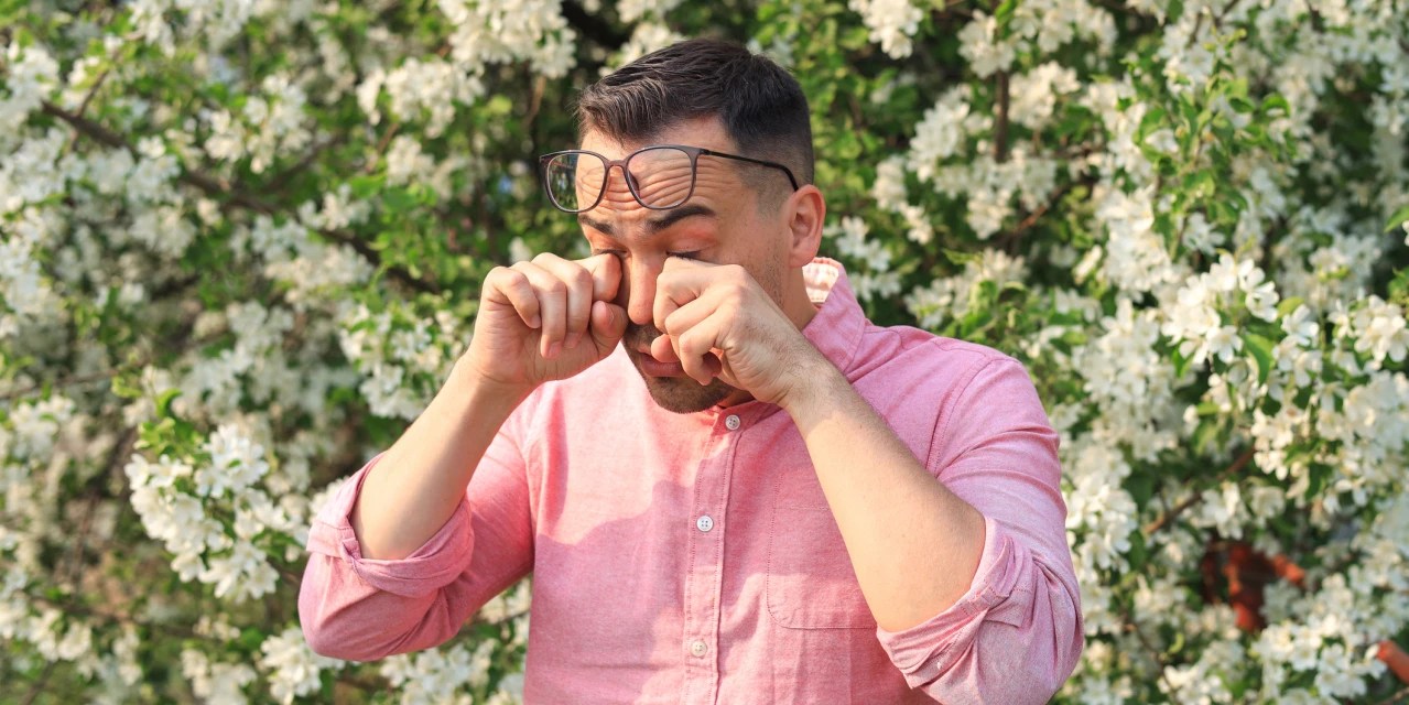 ‘Allergic’ Review Runny Noses, Itchy Eyes WSJ