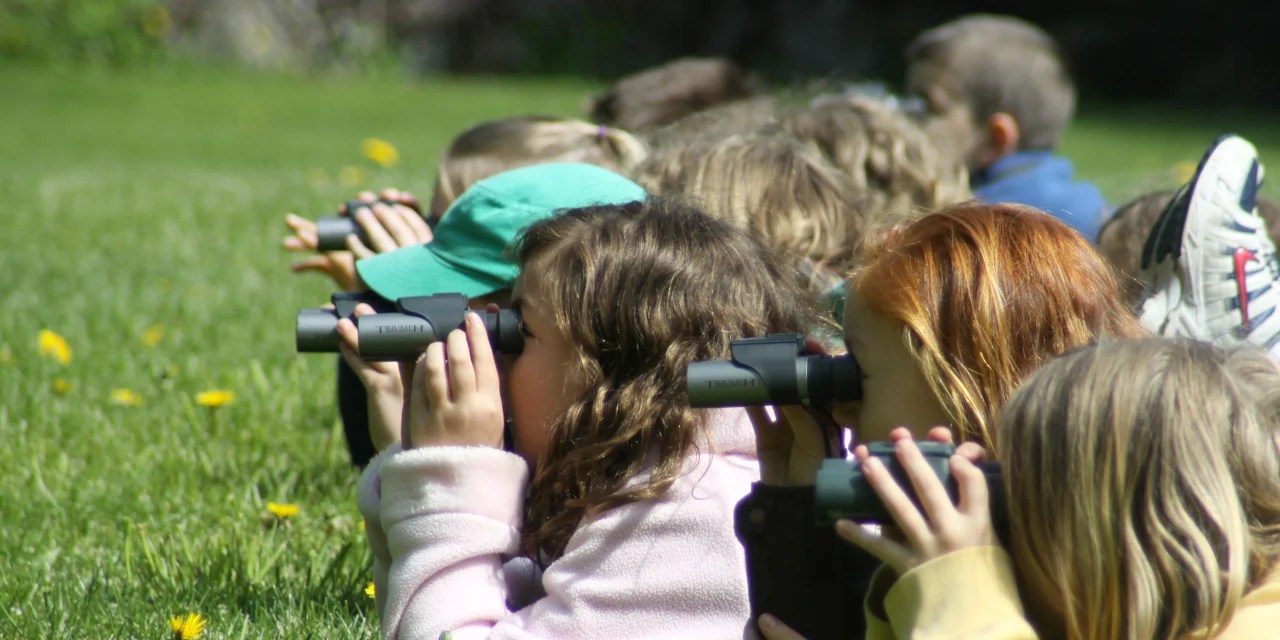 Kids Glued to Their Screens? 5 Tips to Get Them to Love the Outdoors WSJ