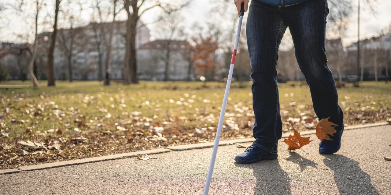 ‘The Country of the Blind’ Review Journey Into Darkness WSJ