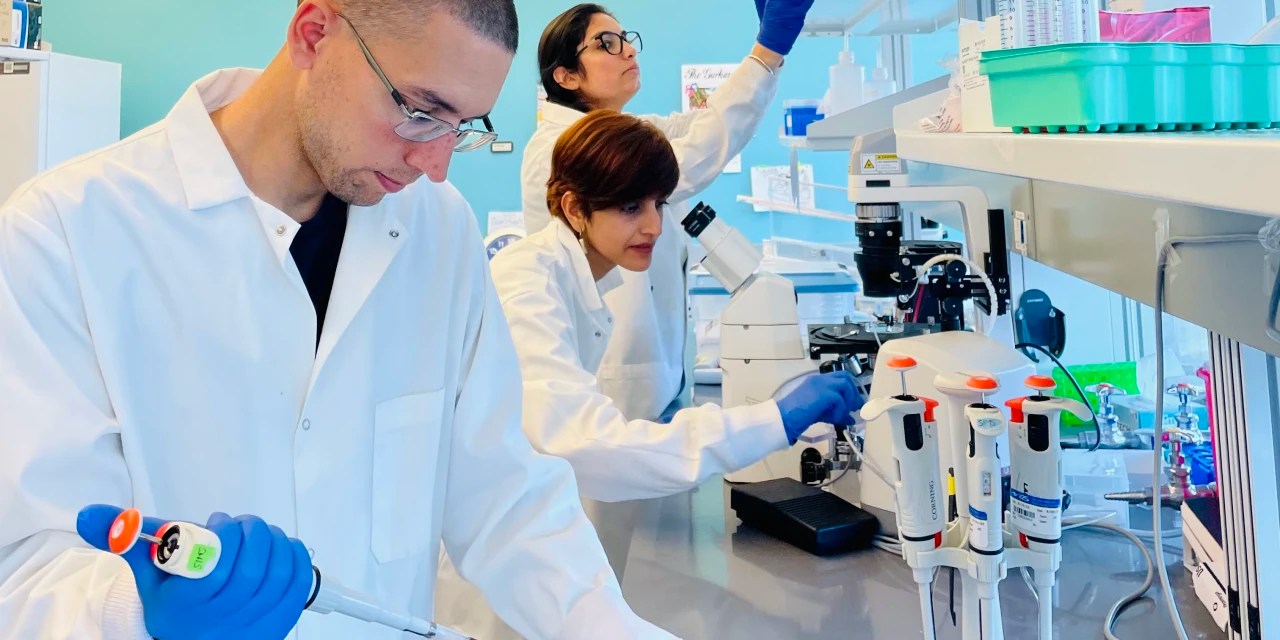 Saudi Arabia Is Dangling Billions for Research on Aging. Scientists Are