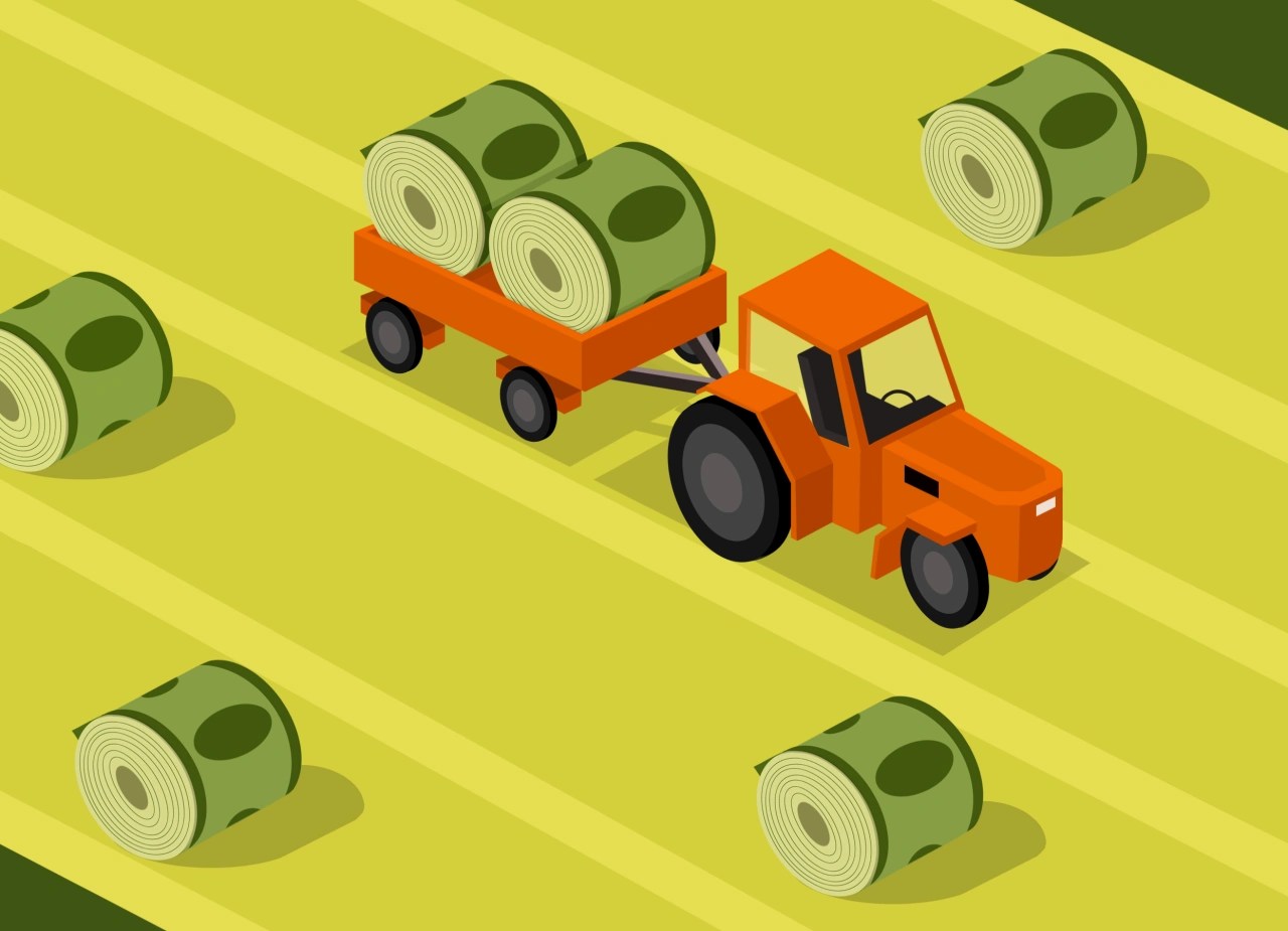 Markets Are Rallying. How to Make the Most of Them. WSJ