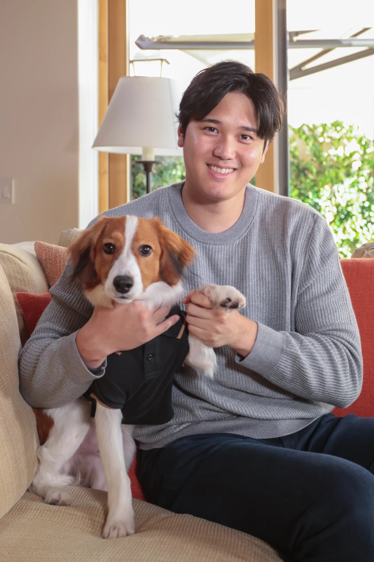 Who's a Lucky Dog? (Hint Shohei Ohtani, His Owner Just Signed a 700