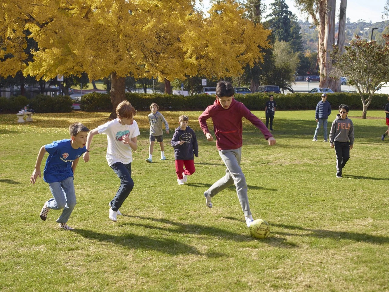 Inside the Schools Where Boys Can Be Boys WSJ