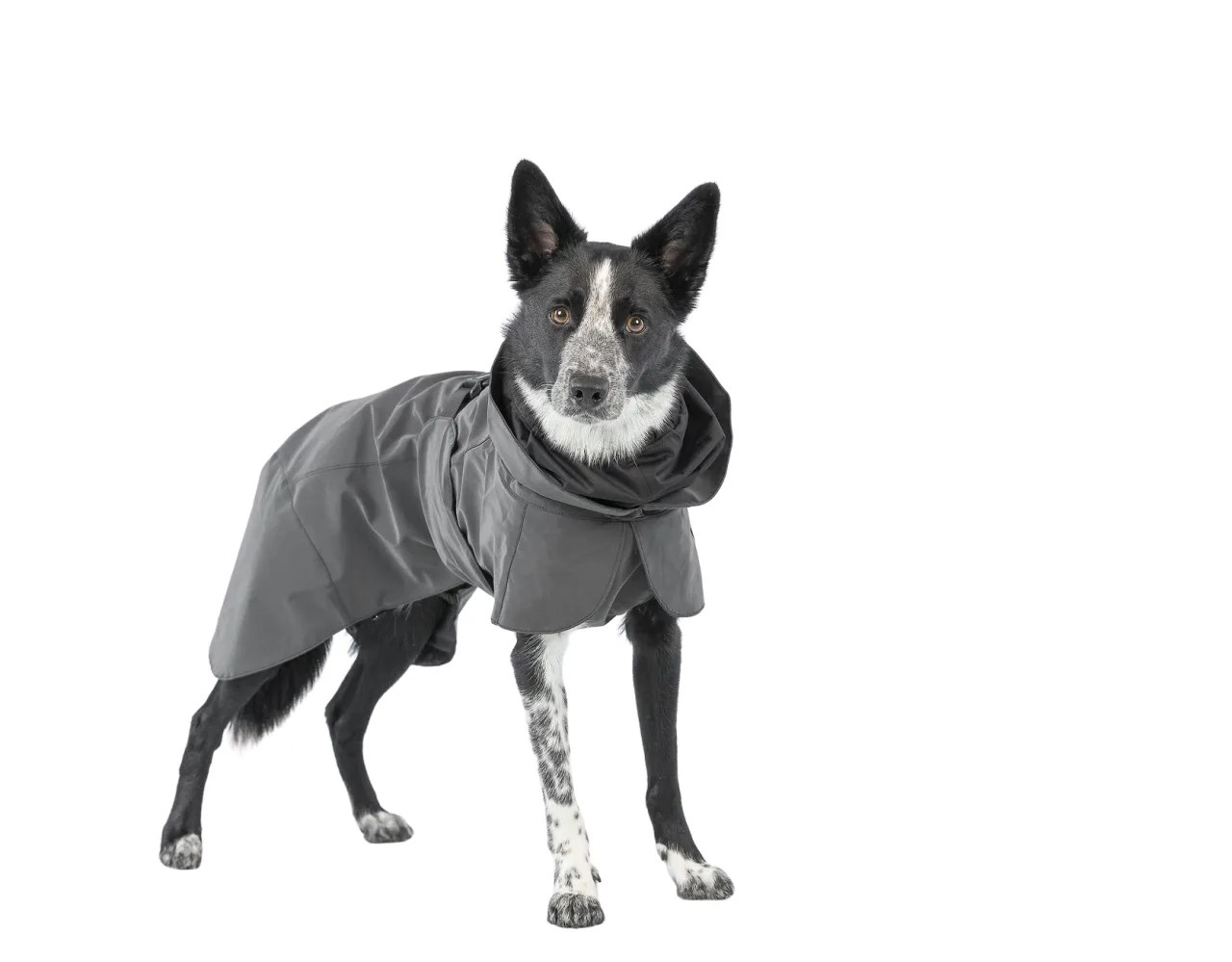 Raincoat For Dogs atelieryuwa.ciao.jp