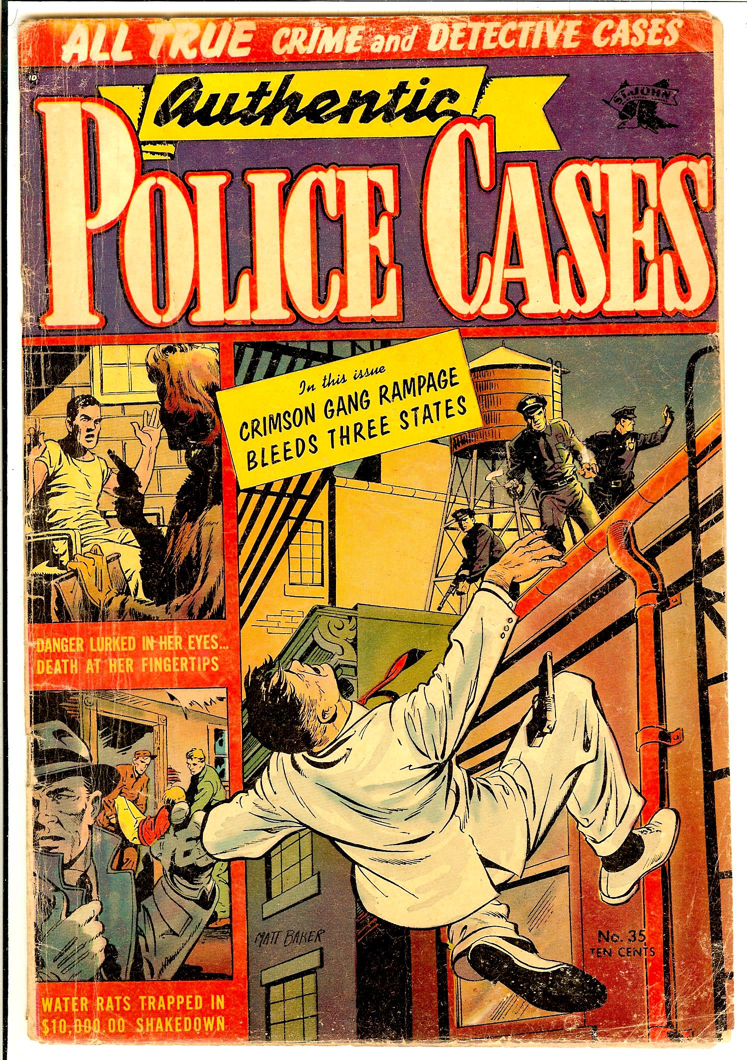 Authentic Police Cases 35