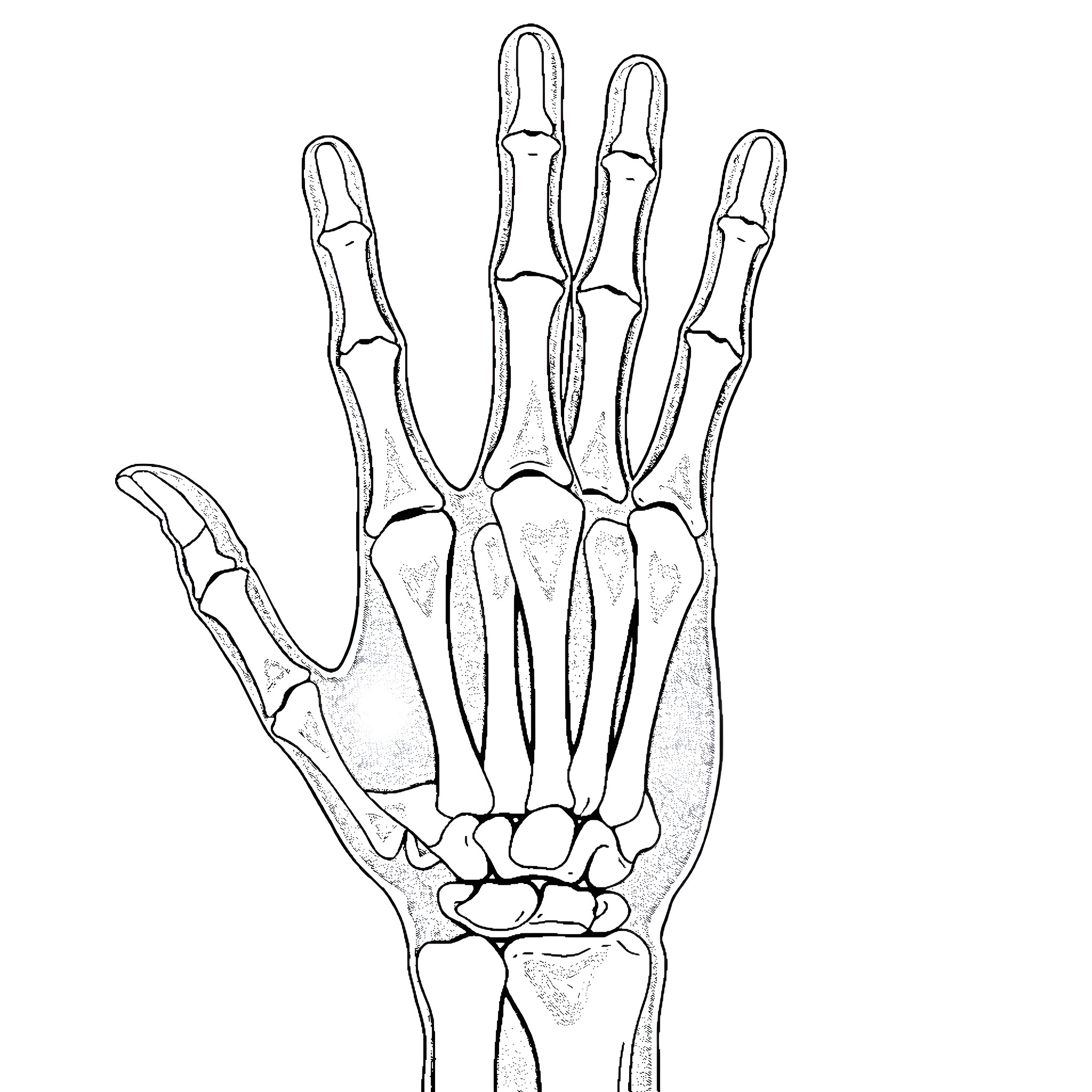 1 Best Enid Coloring Pages (Free Printable PDFs)