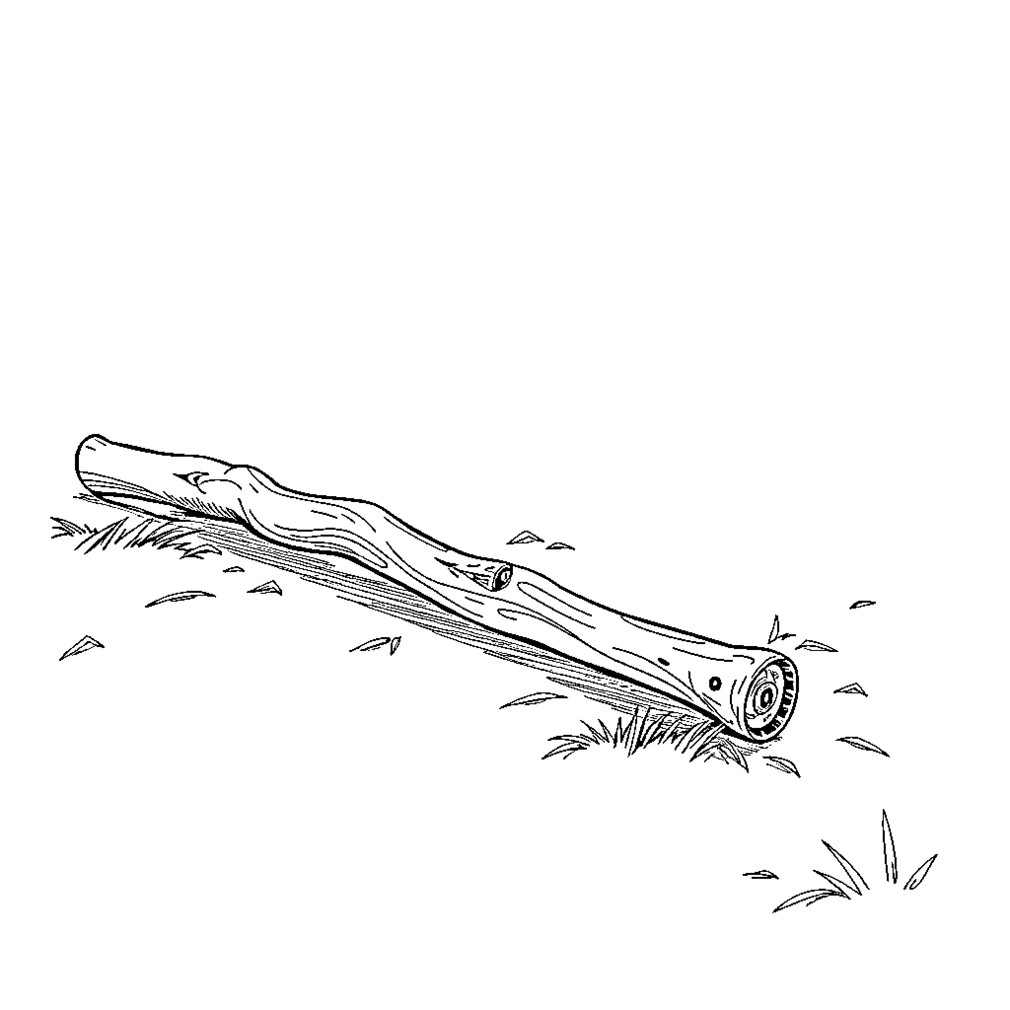 Best Stick Coloring Pages (Free Printable PDF)