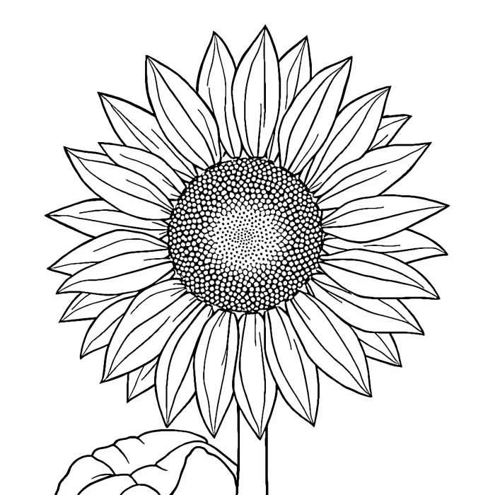 Free Coloring Pages Printable For Kids – A Fun And Educational Tool