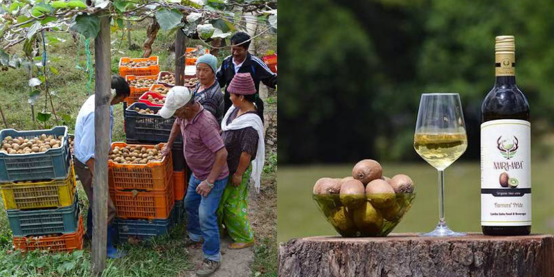 Kiwi wine produced in Arunachal Pradesh finds many admirers at China expo