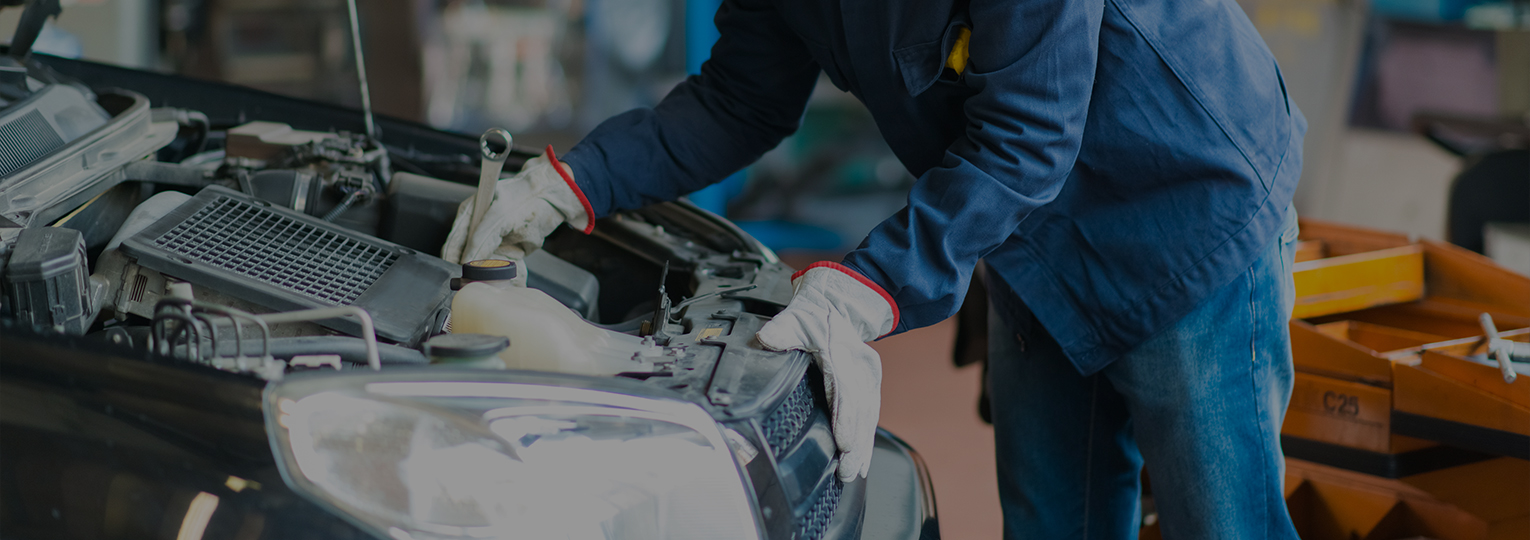 Vehicle Service Centre Warrant of fitness Servicing Mechanical