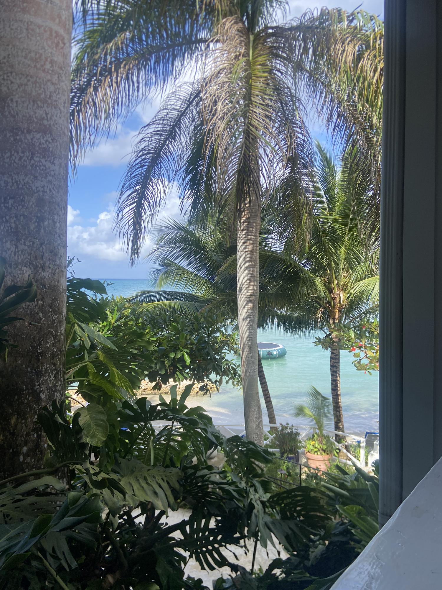 Strawser and Hunter Goodall's Wedding site