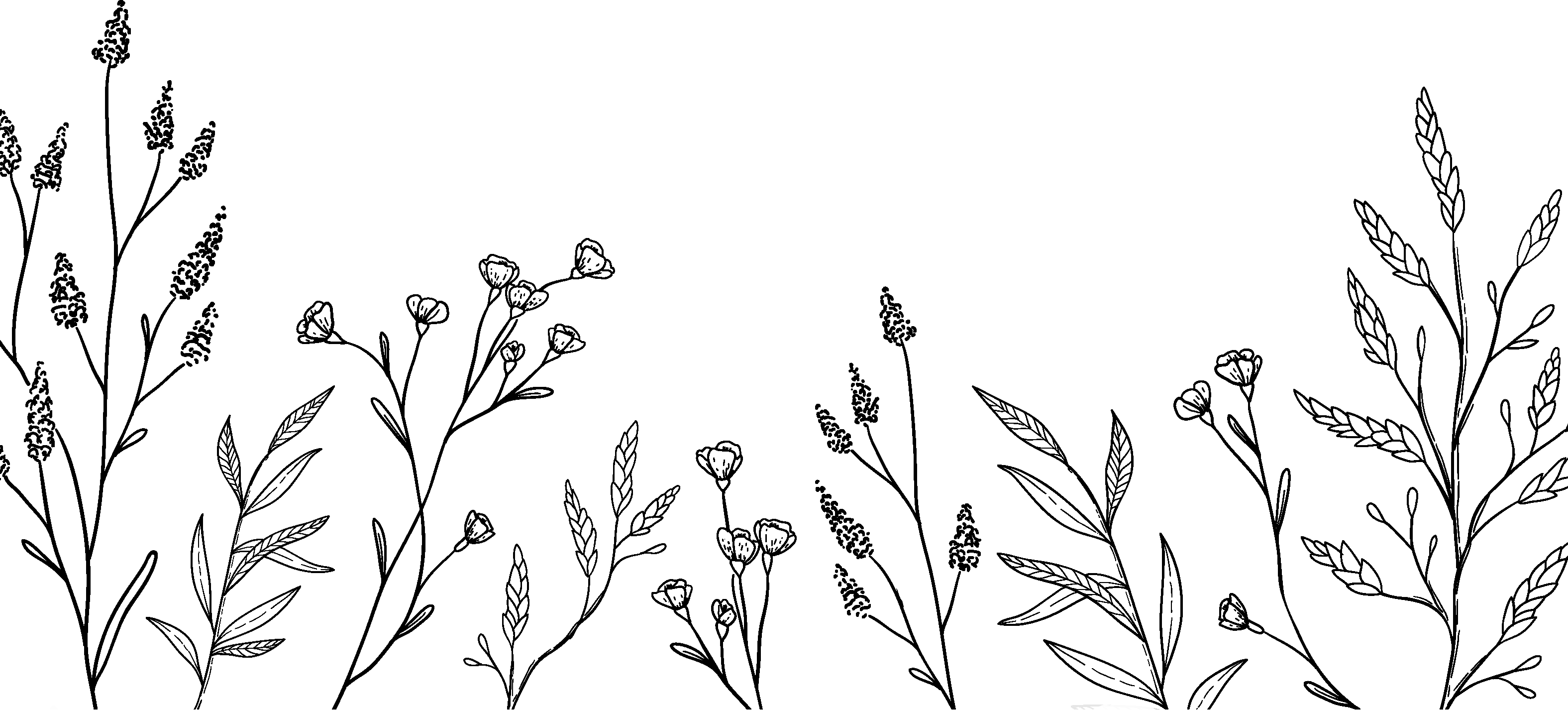 Milad Sanaei and Tanin Torabi's Wedding site