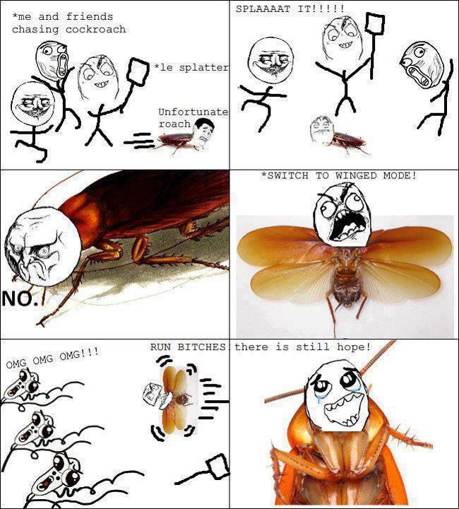 cockroach flying Meme by pupurin ) Memedroid