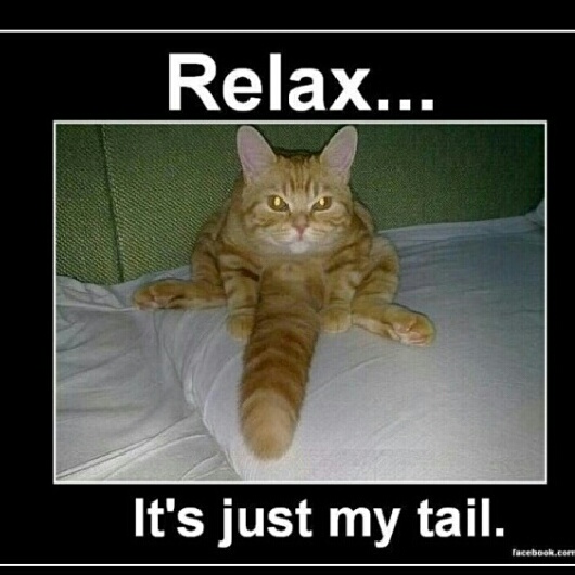 Relax Meme by Sophiemisaacs ) Memedroid