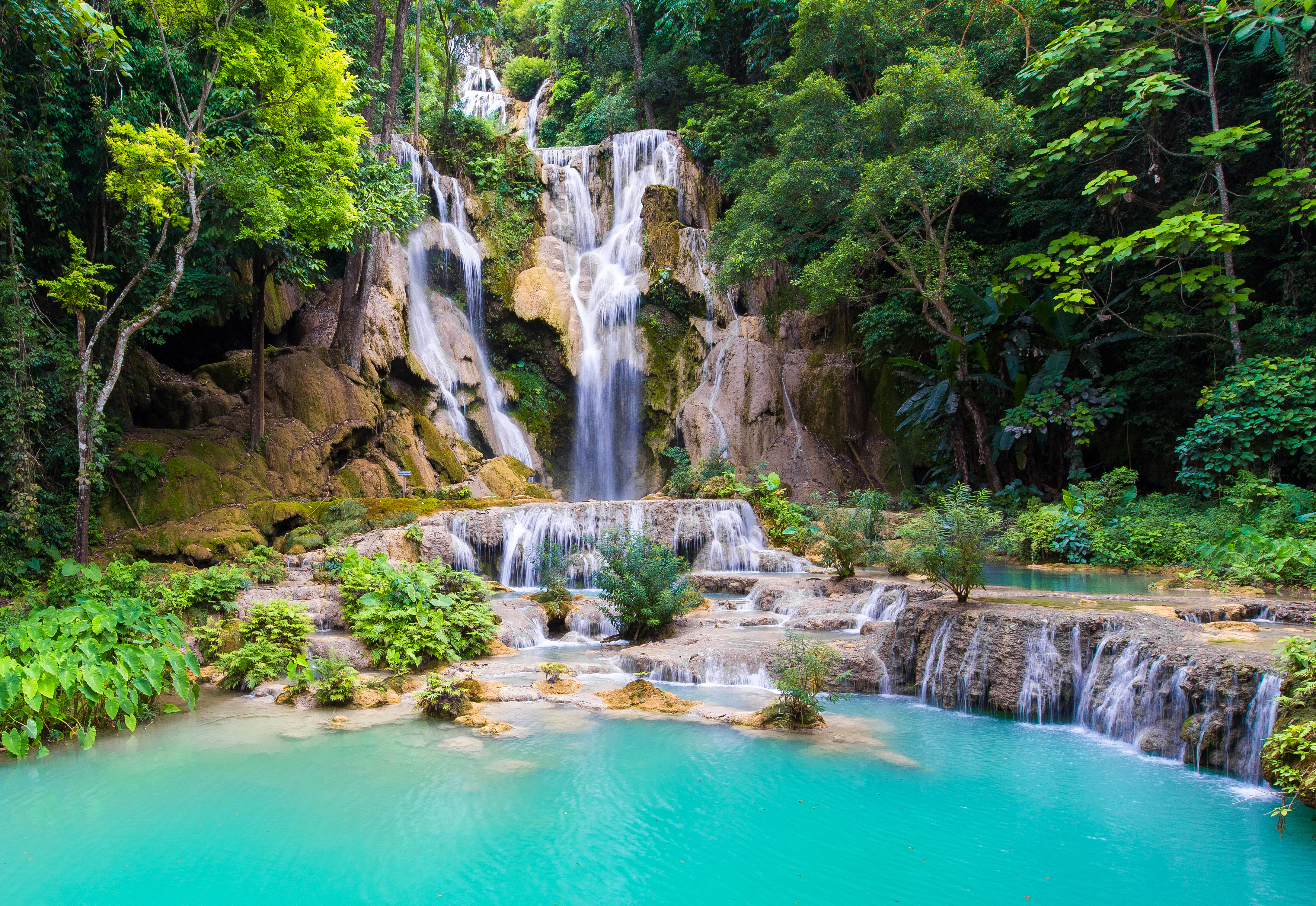 Forest Waterfall 4k Ultra HD Wallpaper Background Image