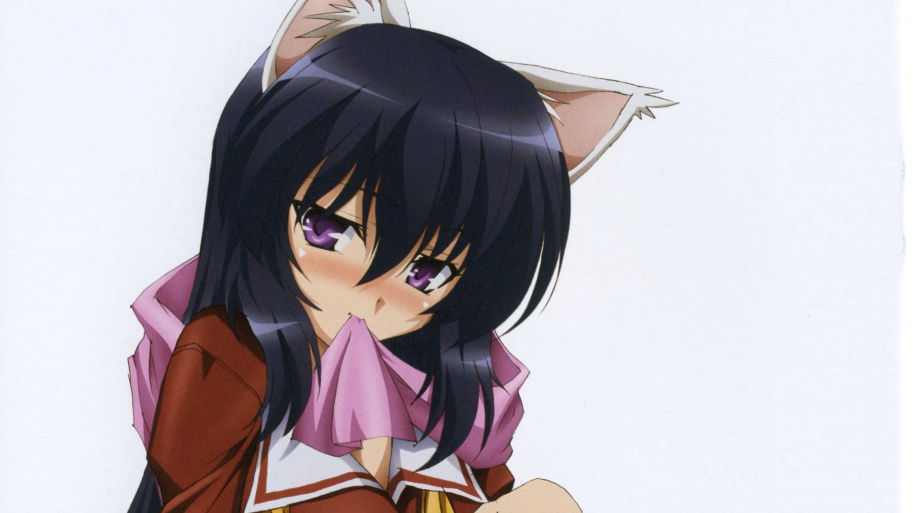 Omamori Himari HD Wallpaper Background Image 2964x1667 ID1030783
