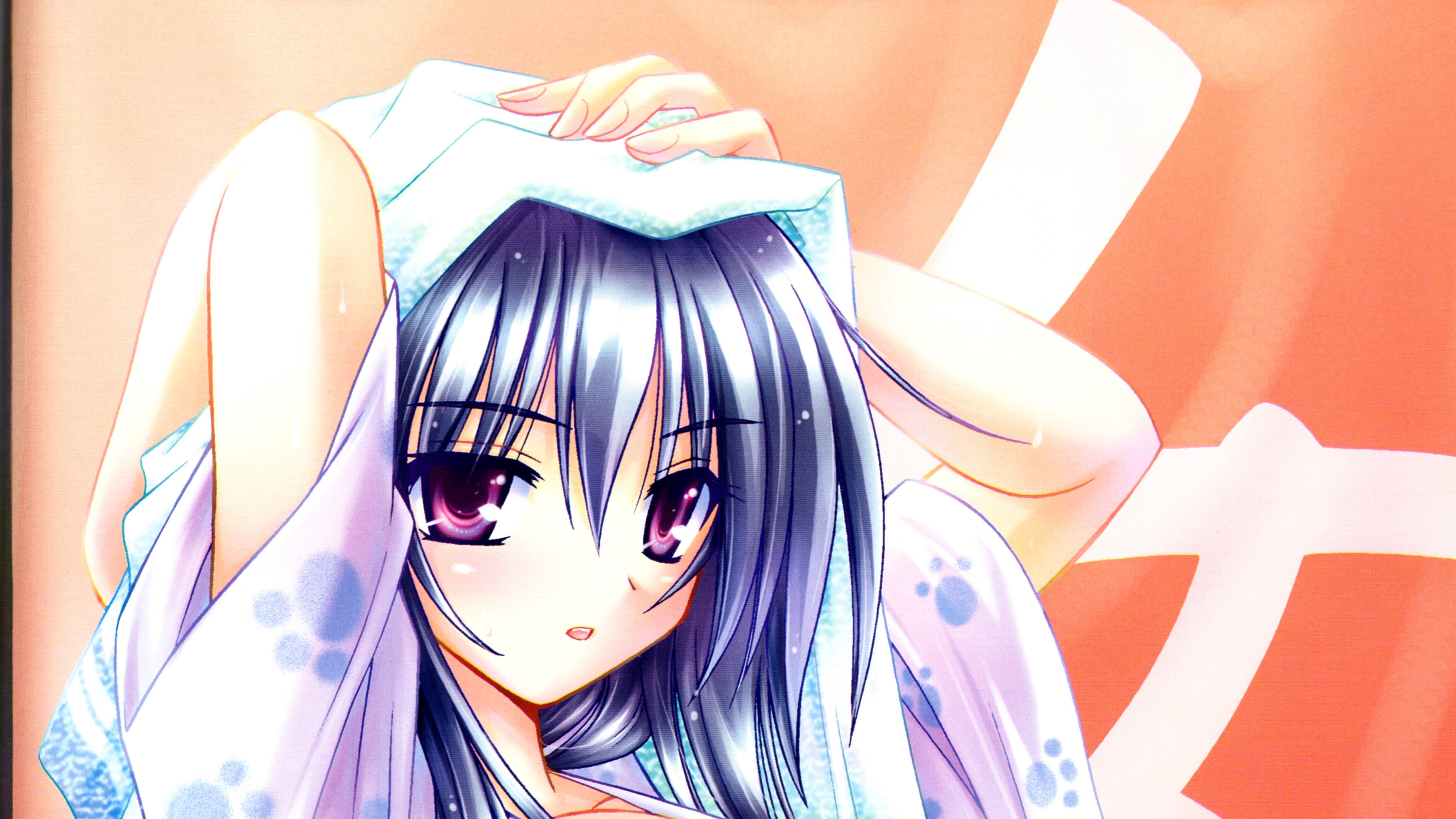 Omamori Himari 4k Ultra HD Wallpaper Background Image 4708x2649