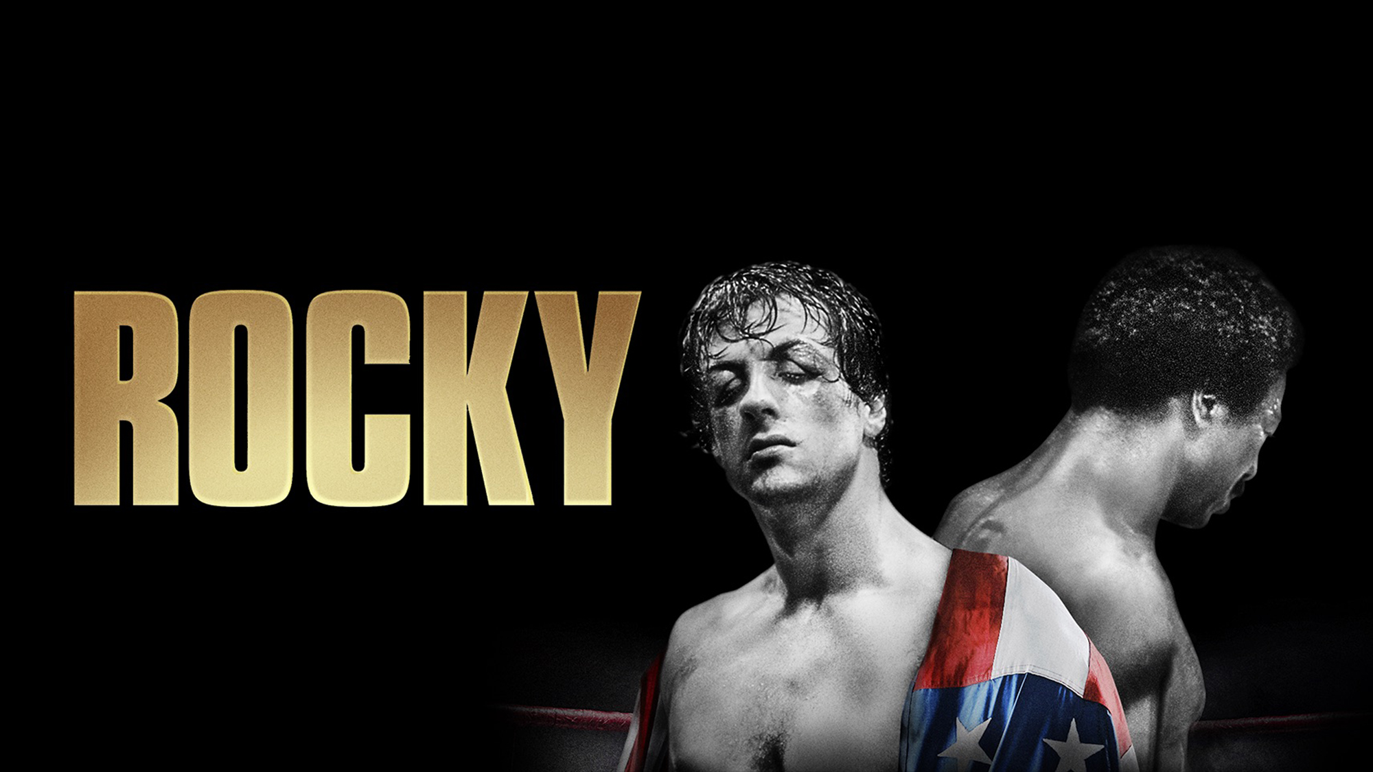 Rocky HD Wallpaper Background Image 2000x1125 ID1122046