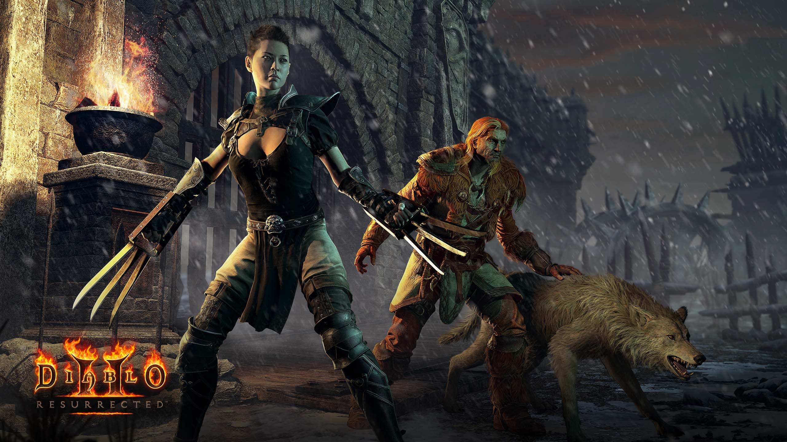 10+ Diablo II Resurrected HD Wallpapers and Backgrounds