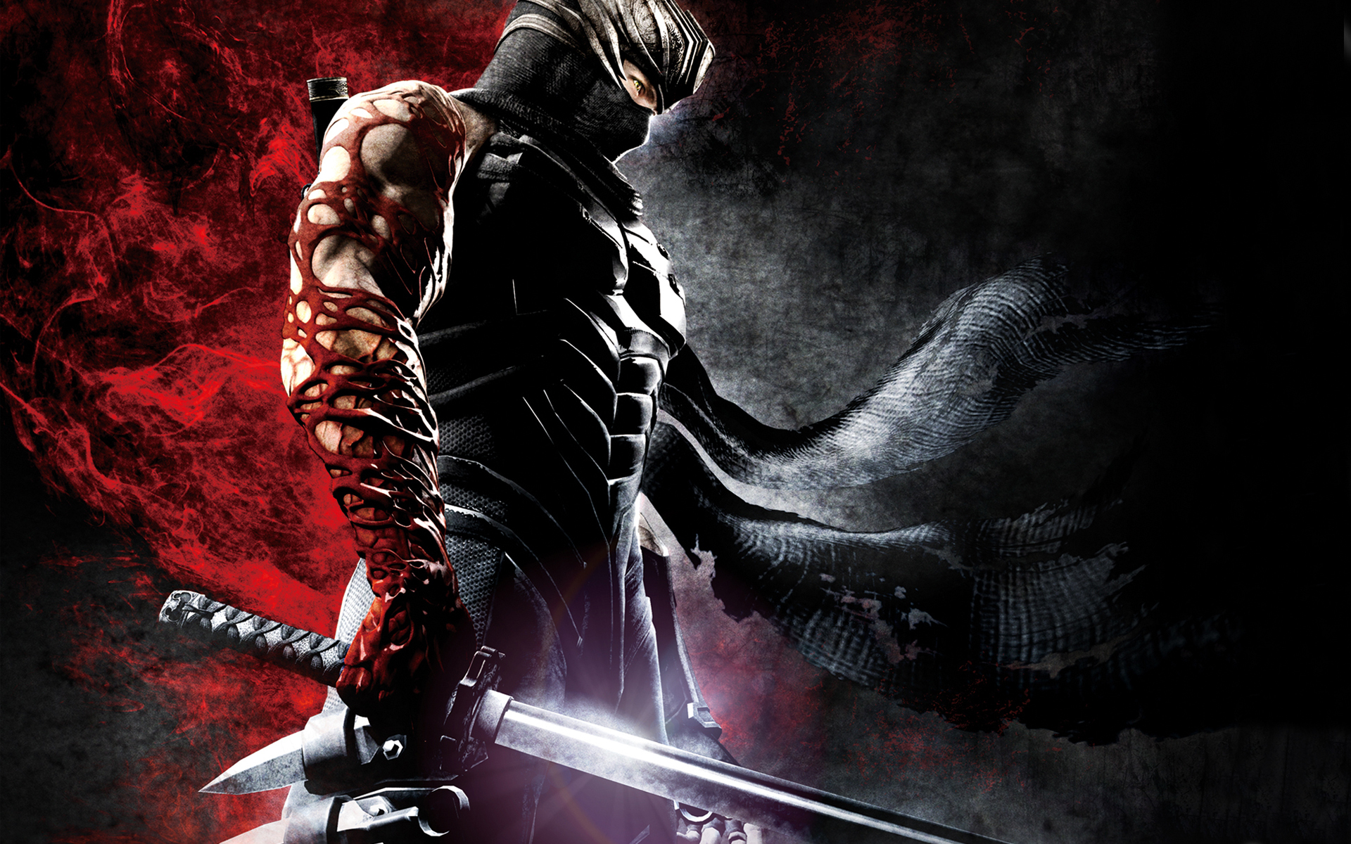 44 Ninja Gaiden HD Wallpapers Backgrounds Wallpaper