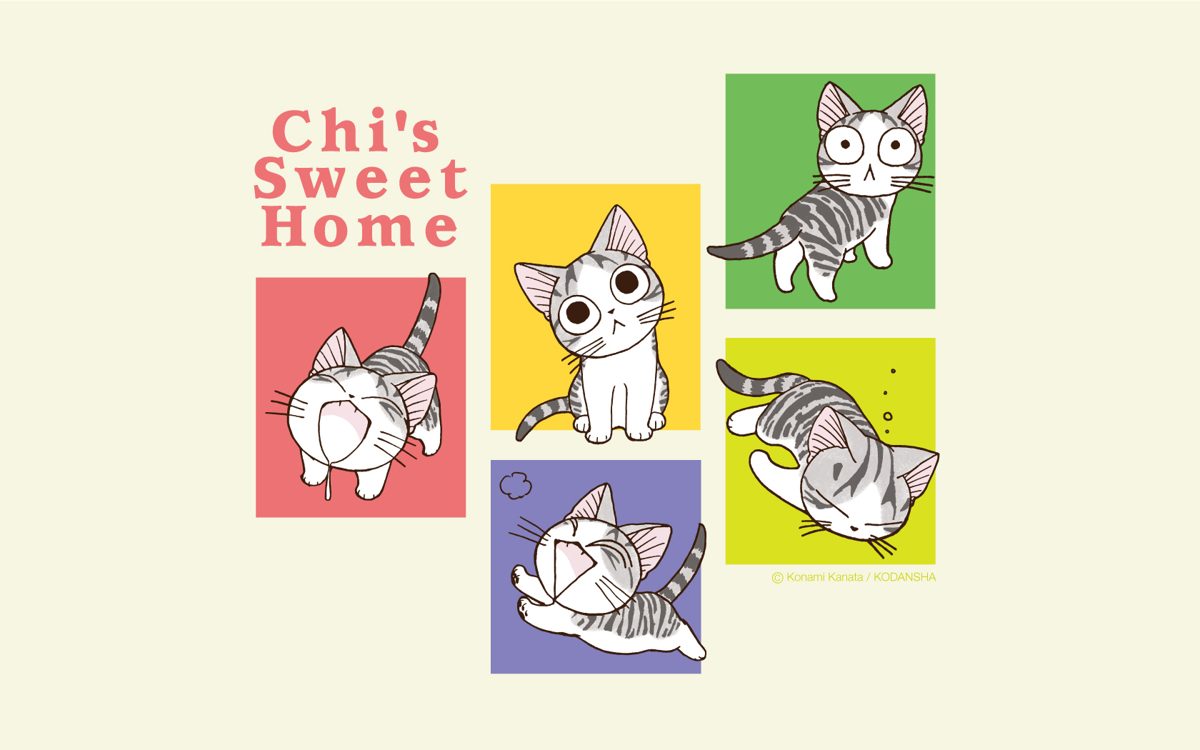 Chi's Sweet Home Wallpaper