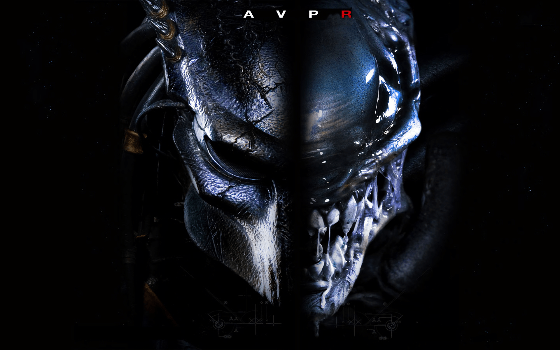 1268 Predator HD Wallpapers Backgrounds Wallpaper