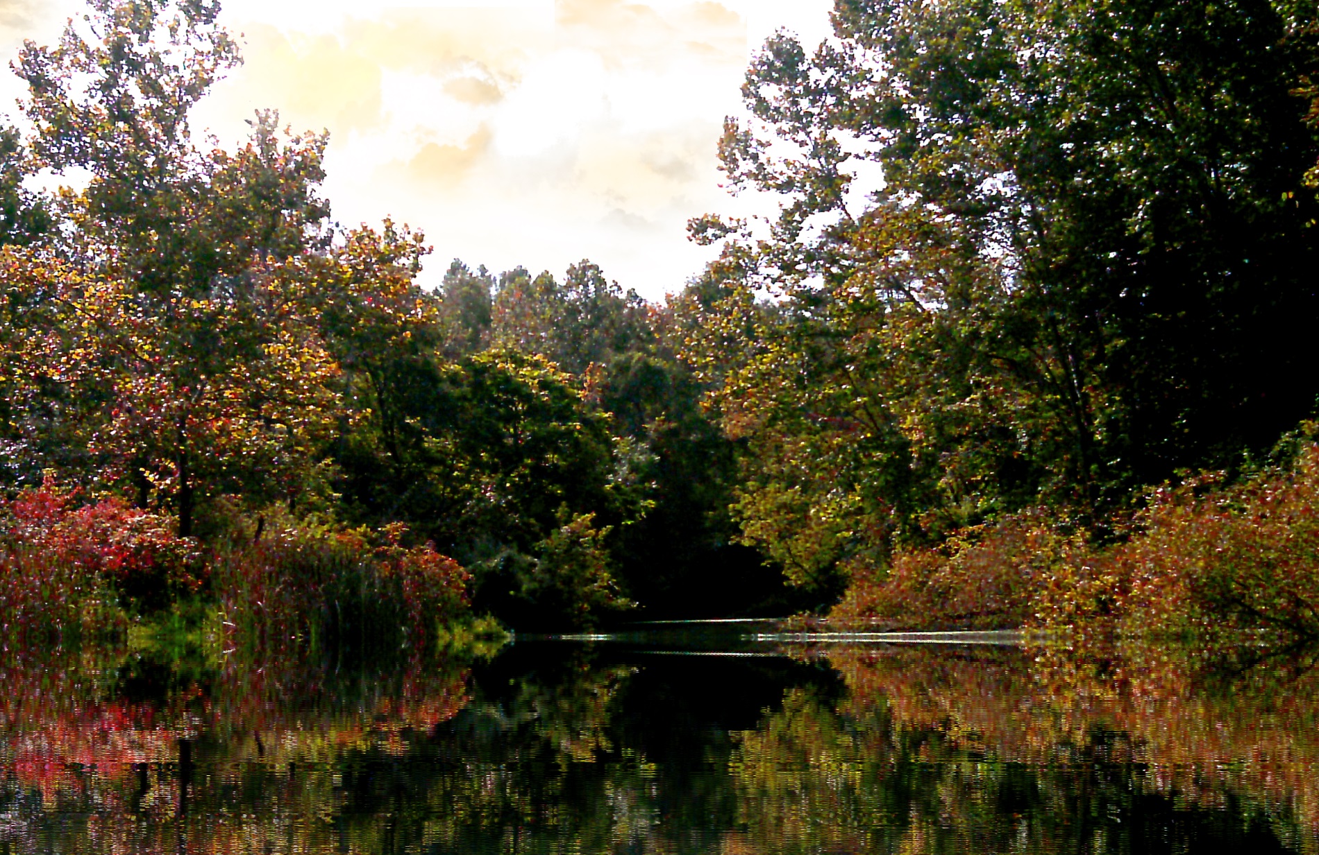 Late Summer's Call Wallpaper and Background Image 1900x1233