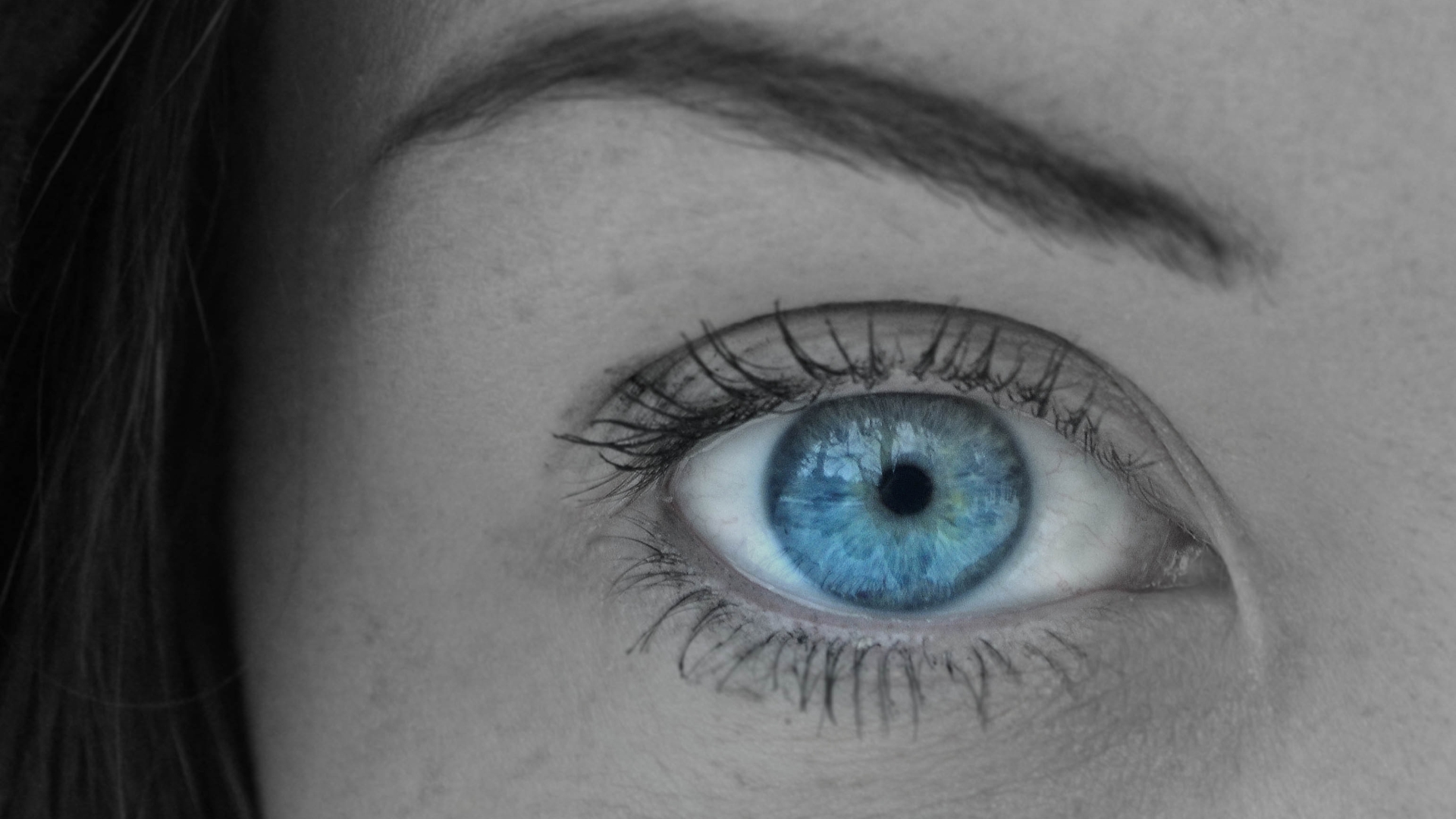 Download Woman Eye HD Wallpaper